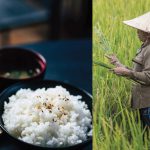 Riz Jasmin