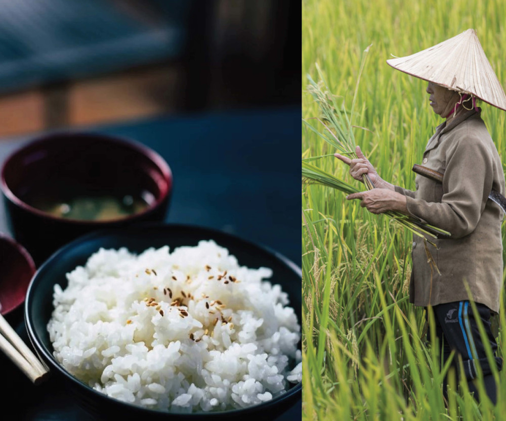 Riz Jasmin